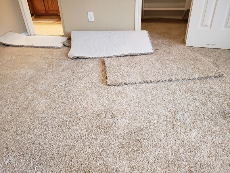 Carpet Seam Repair in Olathe, KS